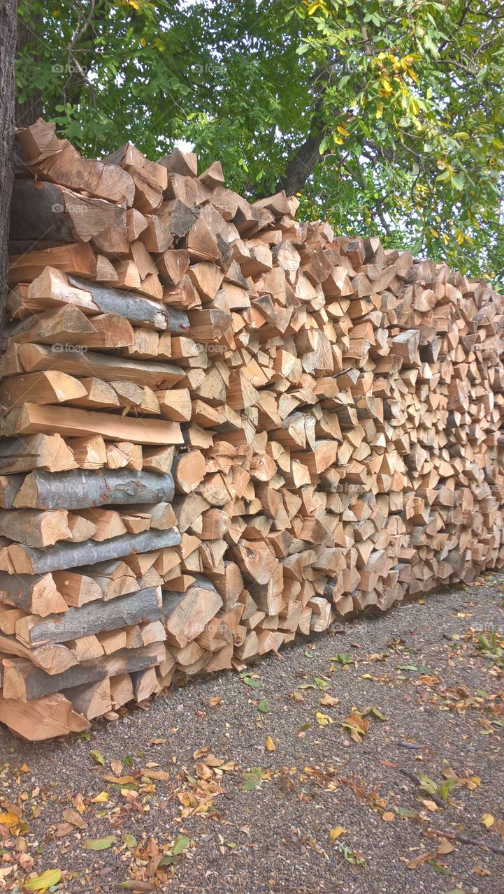 pile of wood