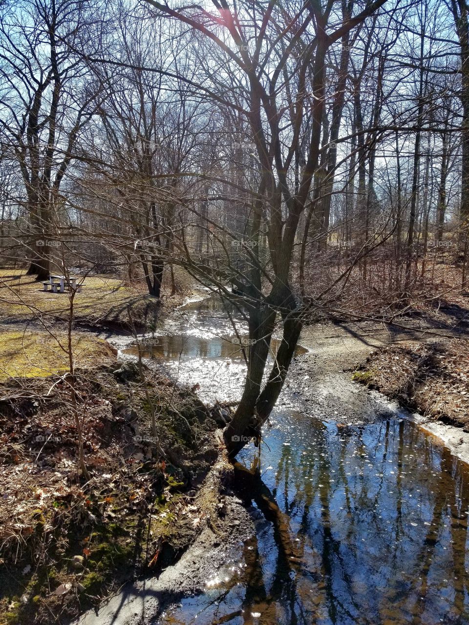 Beautiful day at the park. Sun is shining bright. Blue sky, no clouds. Grass is getting green. Snow and ice are starting to melt. revealing a cool stream.