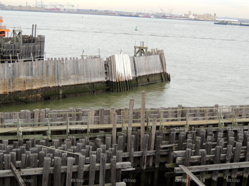 Details in New York City. Woods 