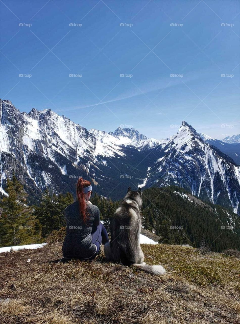 Pawprints at my footsteps