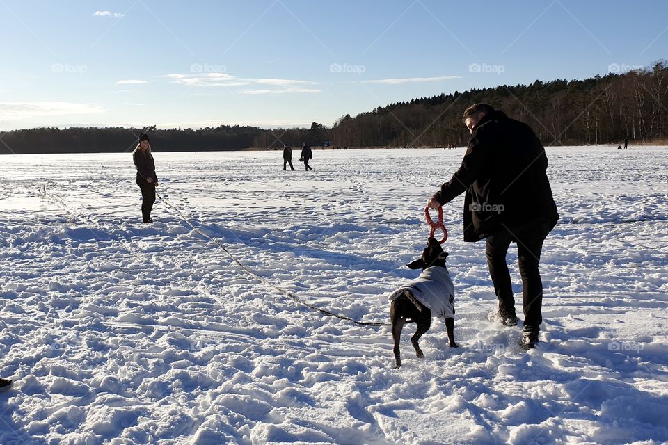 Playing with the dog on a snowy lake 