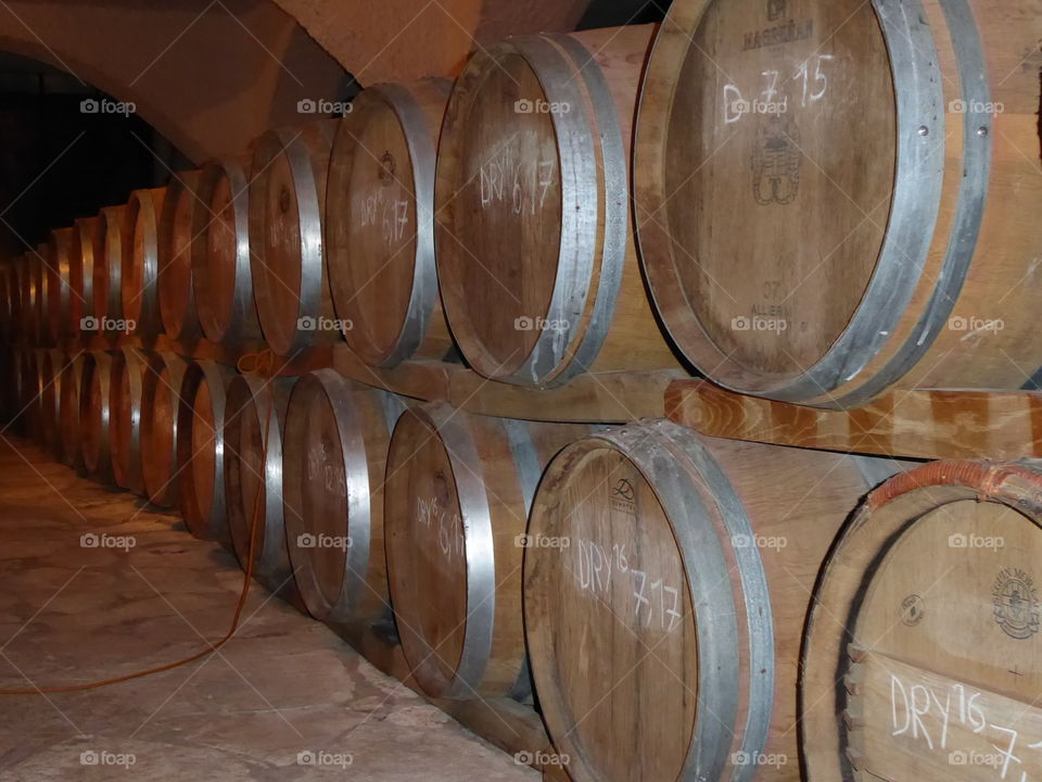 wine barrels in cellar @ Potomje