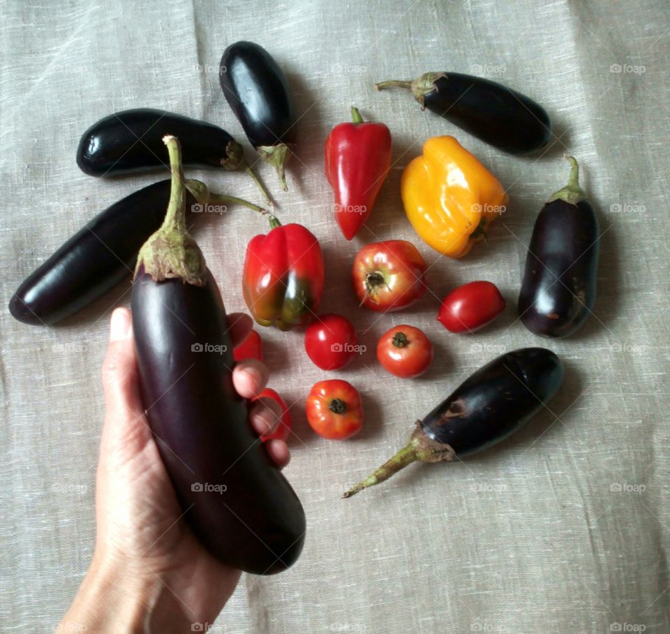 Eggplant in hand wih vegetables