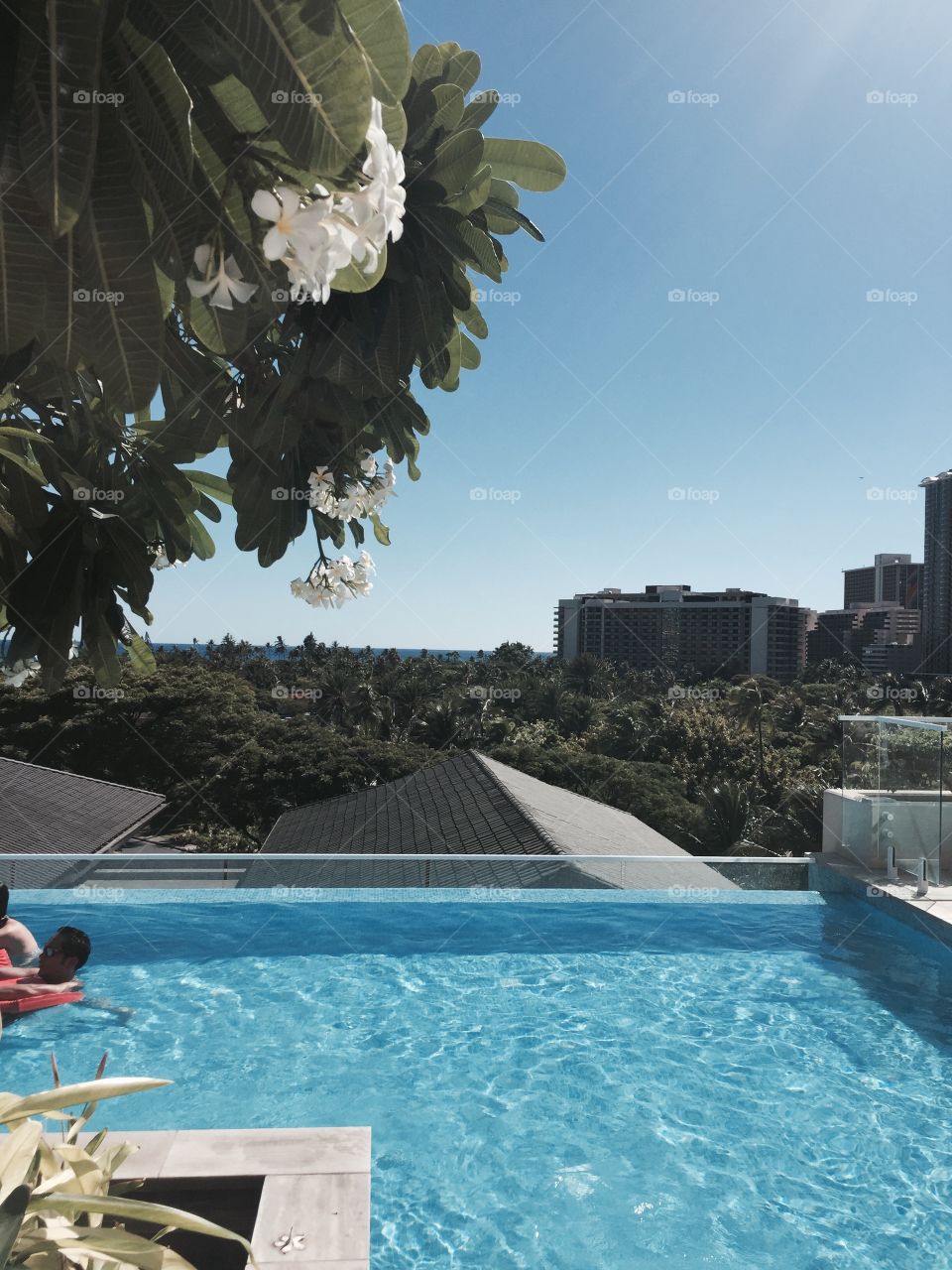 Infinity Pool Ritz Carlton Waikiki🌴