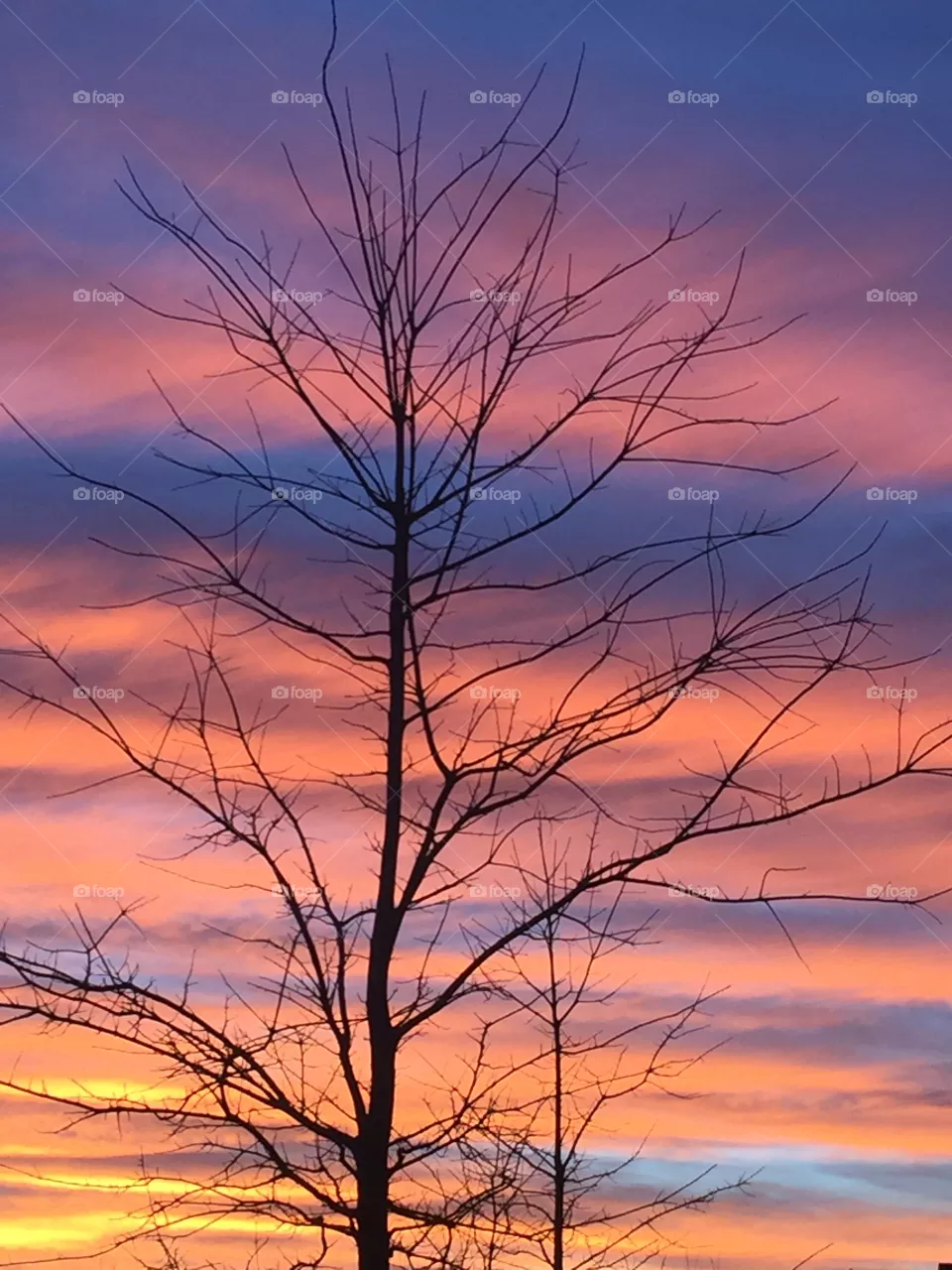dawn