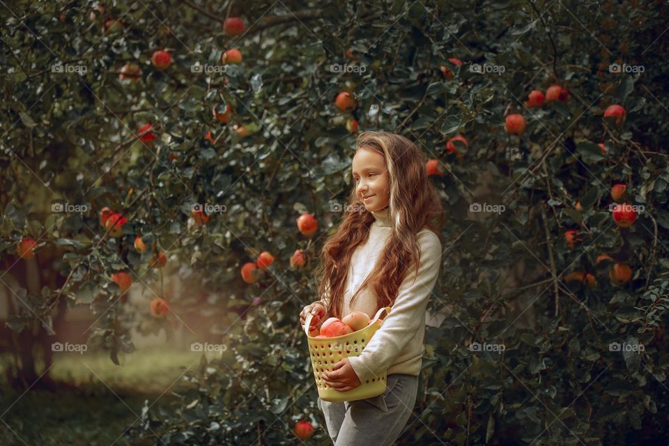 Long-haired girl with busker of apples