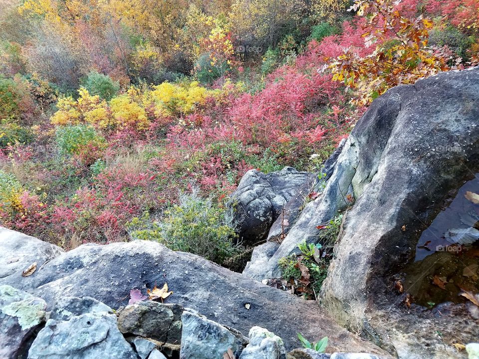 Fall on the mountain