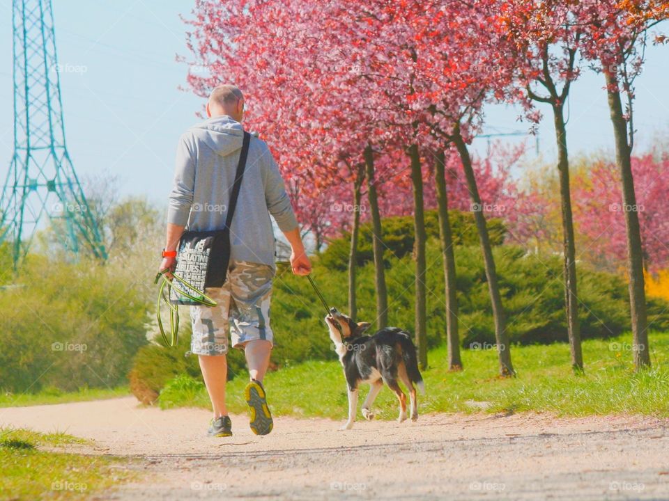 See that person enjoying spring with the happiest animal on earth? It could be you! Adopt a pet.