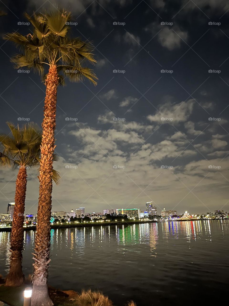 Colorful reflection of the Long Beach, California skyline across the sea. It is framed by two palm trees.