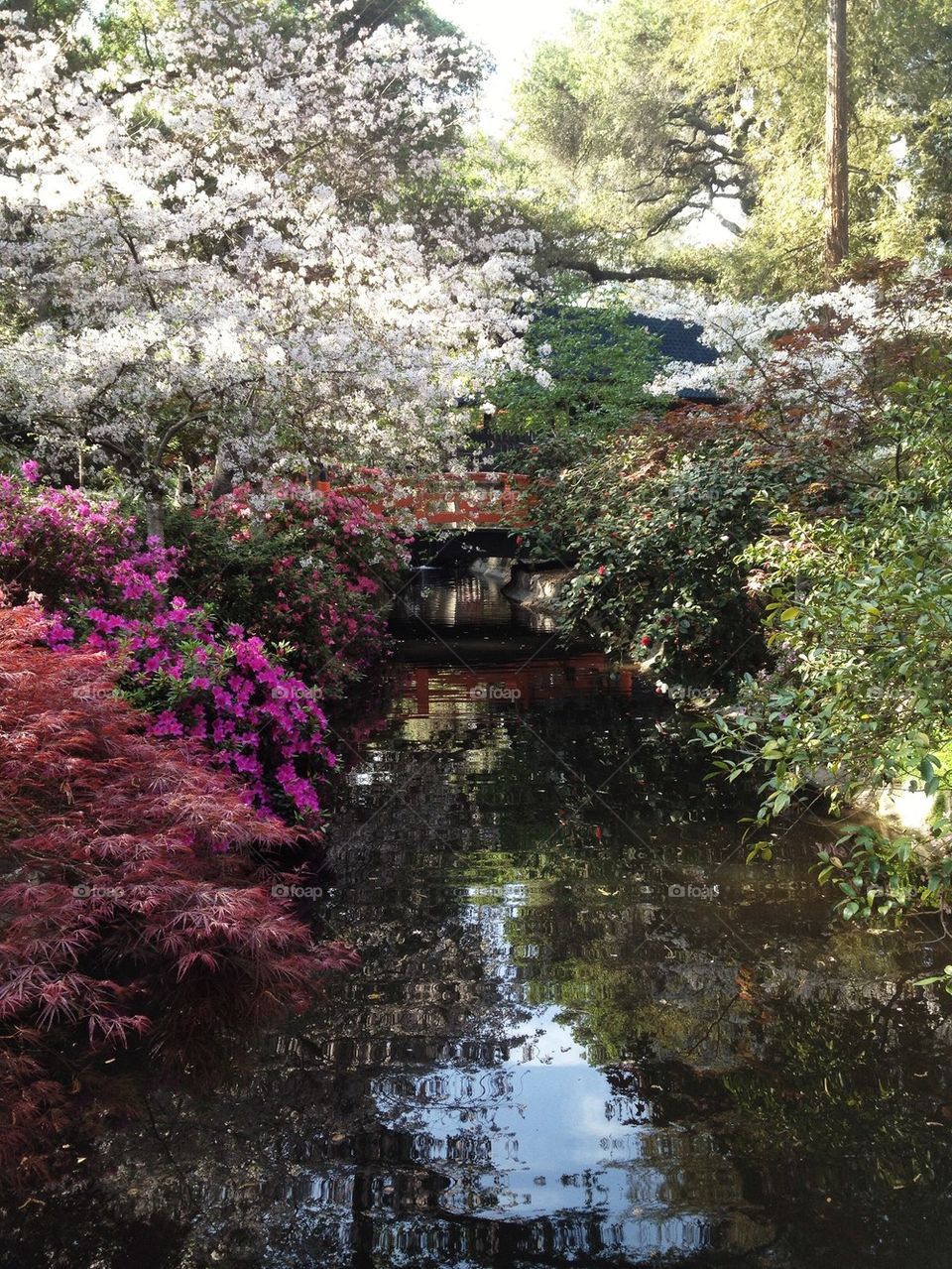 Japanese Garden