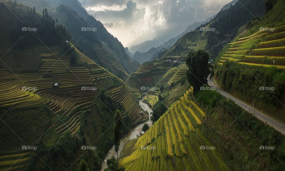 Rice terrace in big moutain