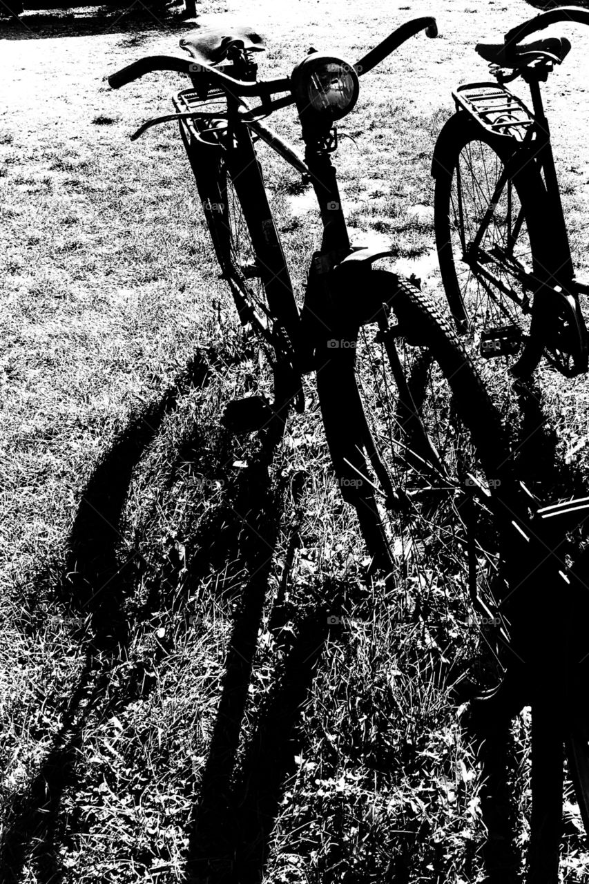 Bicycles in Burgenland Austria Mönchhof 