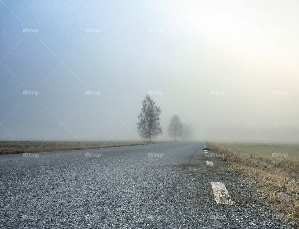 Road fog