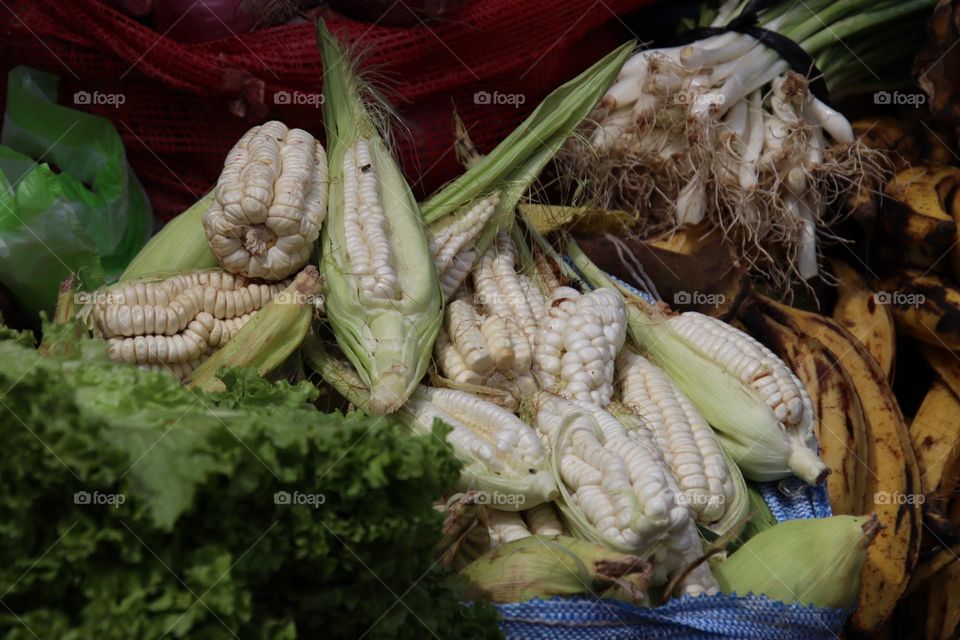 Vegetables in South America