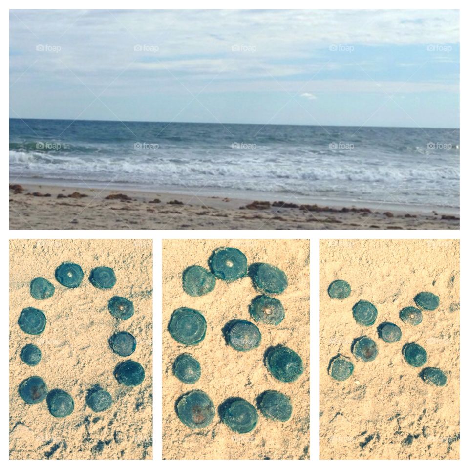 OBX. Outer banks spelled out in washed up jellyfish 
