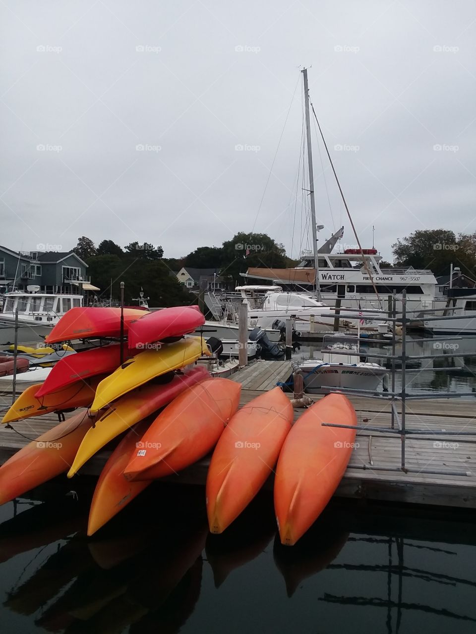 kayaks