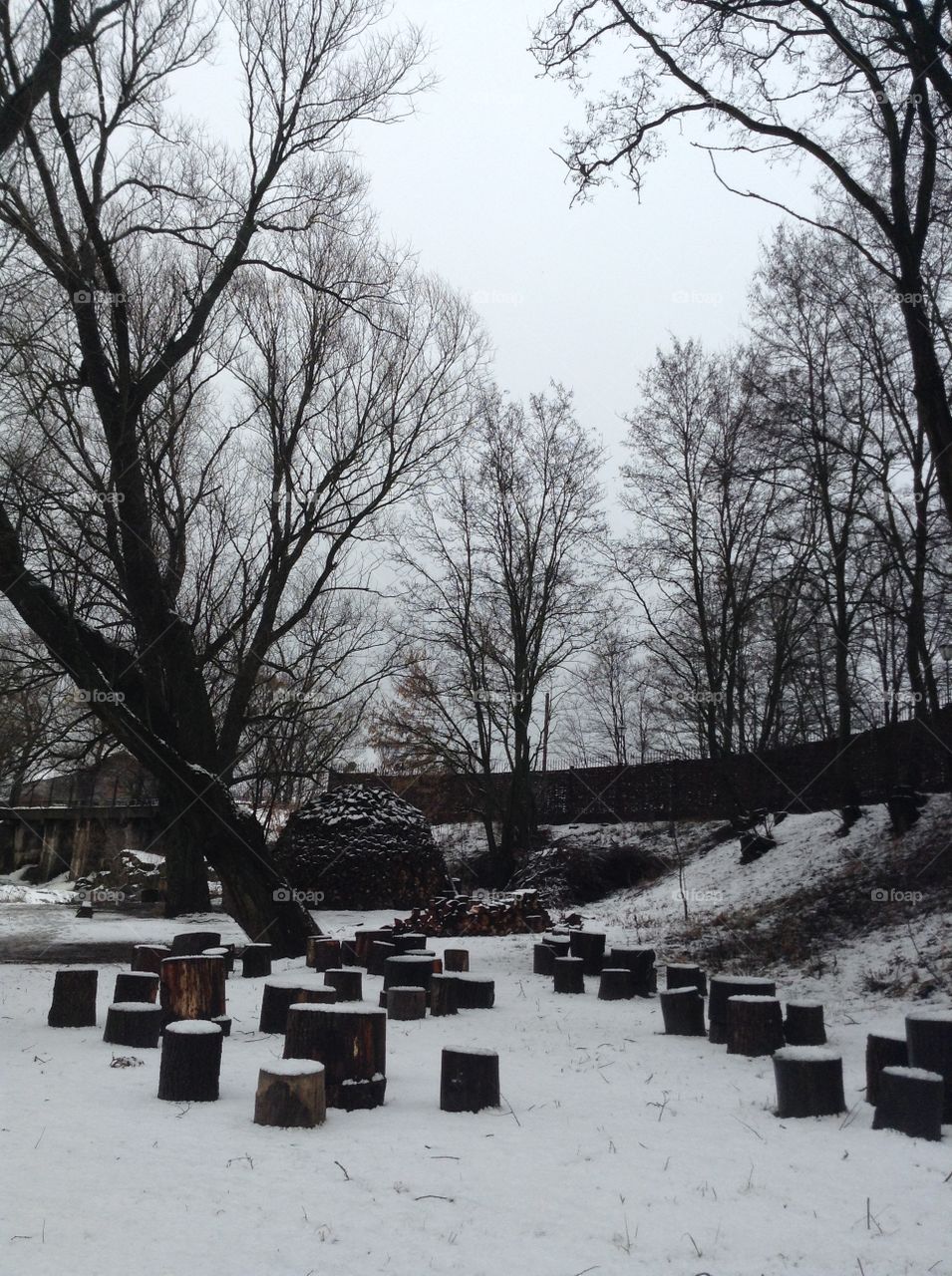 Courtyard in the winter