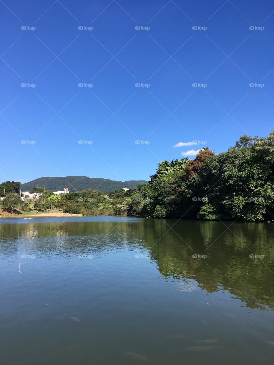 #SemFiltros, dispensando maquiagem!
A beleza da #natureza no Parque Botânico Eloy Chaves, com o infinito #céu azul refletindo no #lago, tendo a #SerraDaErmida ao fundo!
📸
#FOTOGRAFIAéNOSSOhobby #inspiração #mobgrafia #Jundiaí 