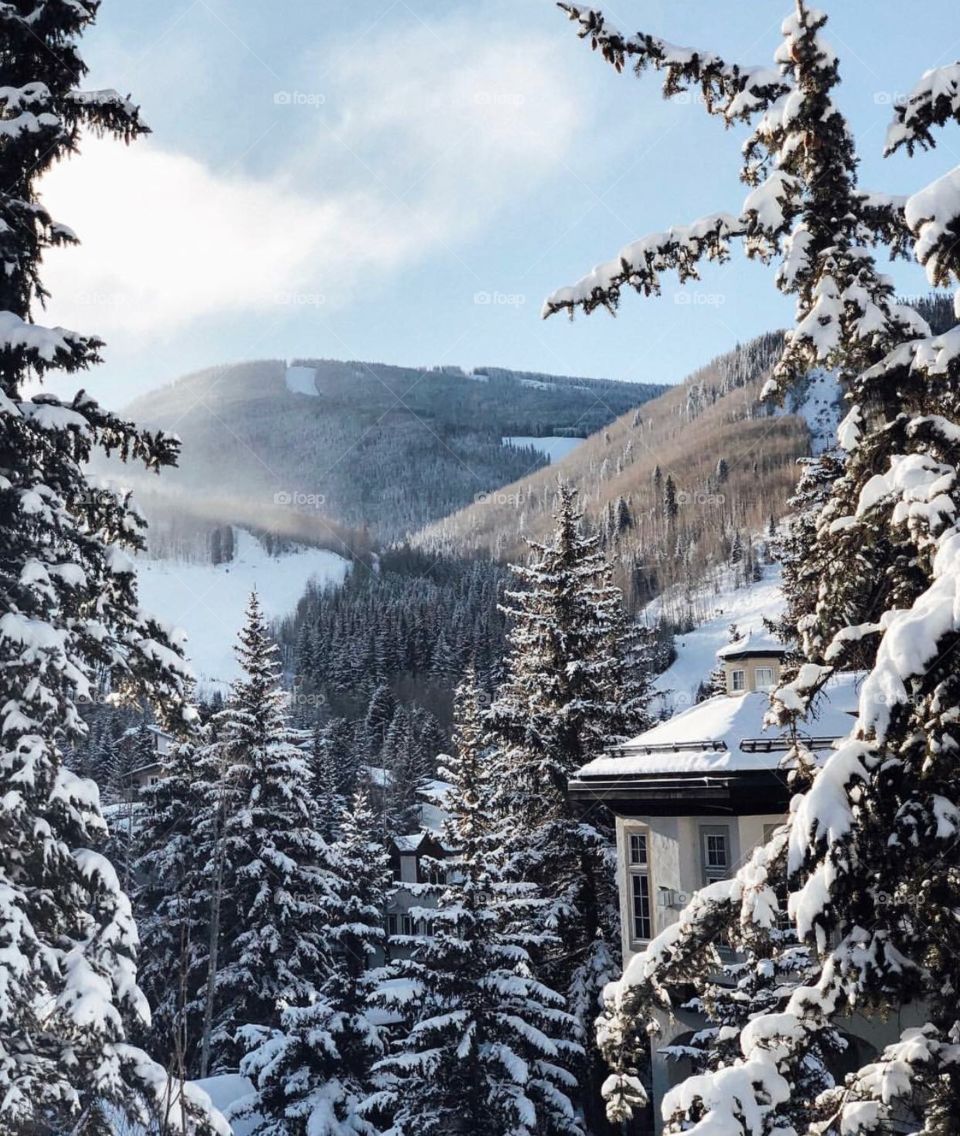 Vail in Snow 