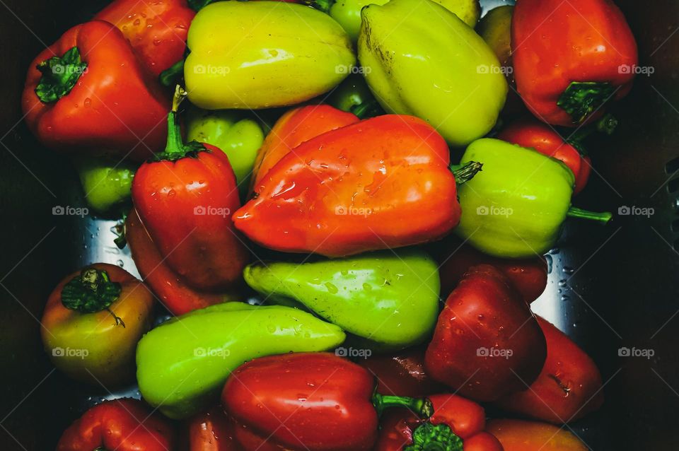 Beautiful sweet peppers