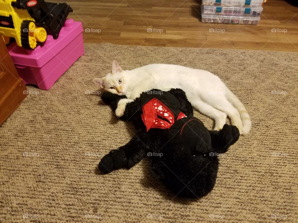 Duke  laying with toy