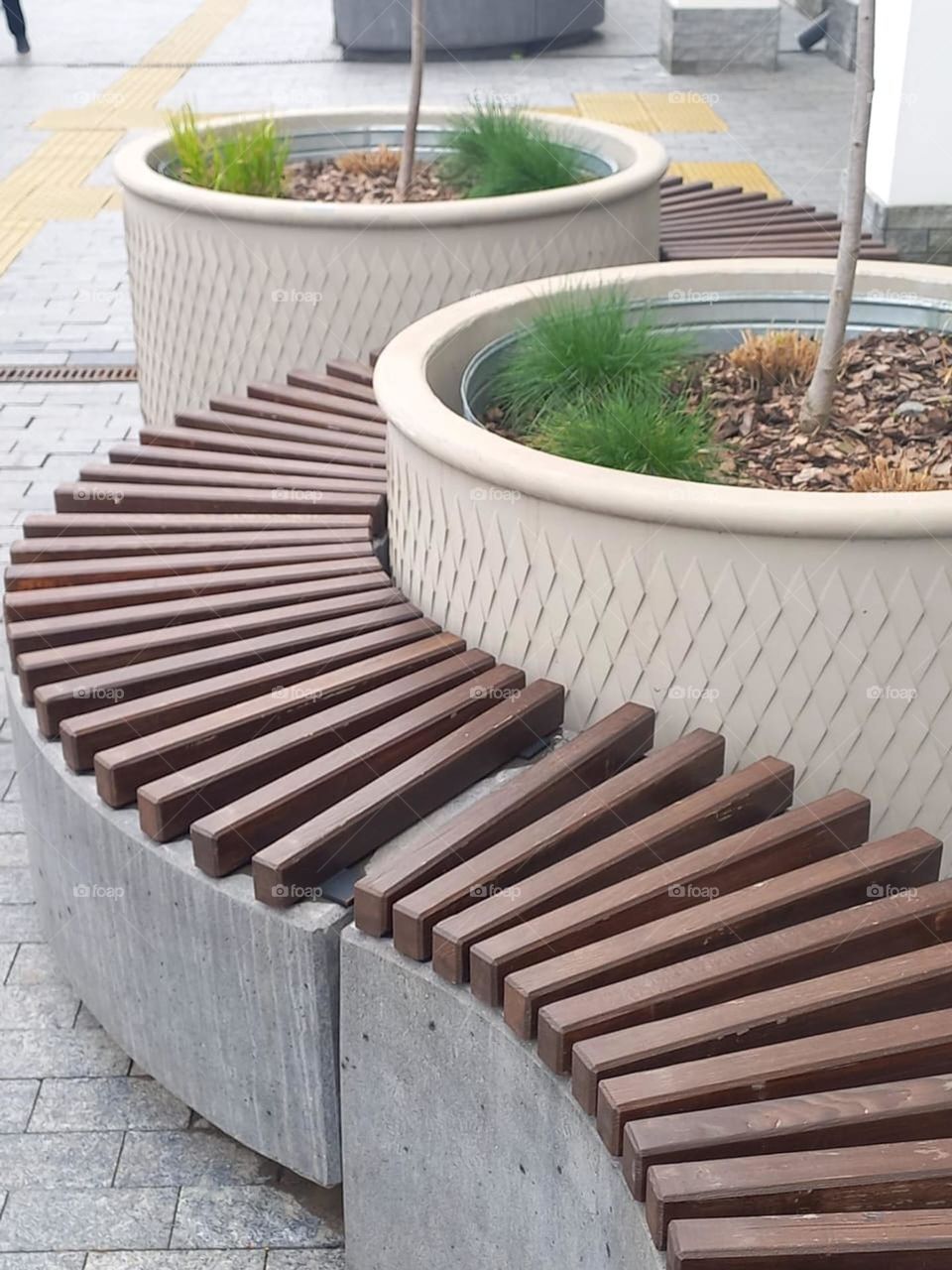 planted trees with beautiful design