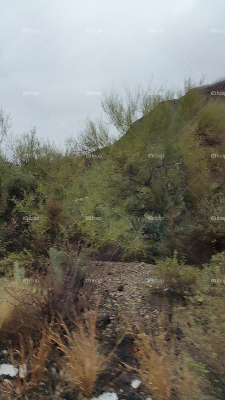 desert landscape near Tucson