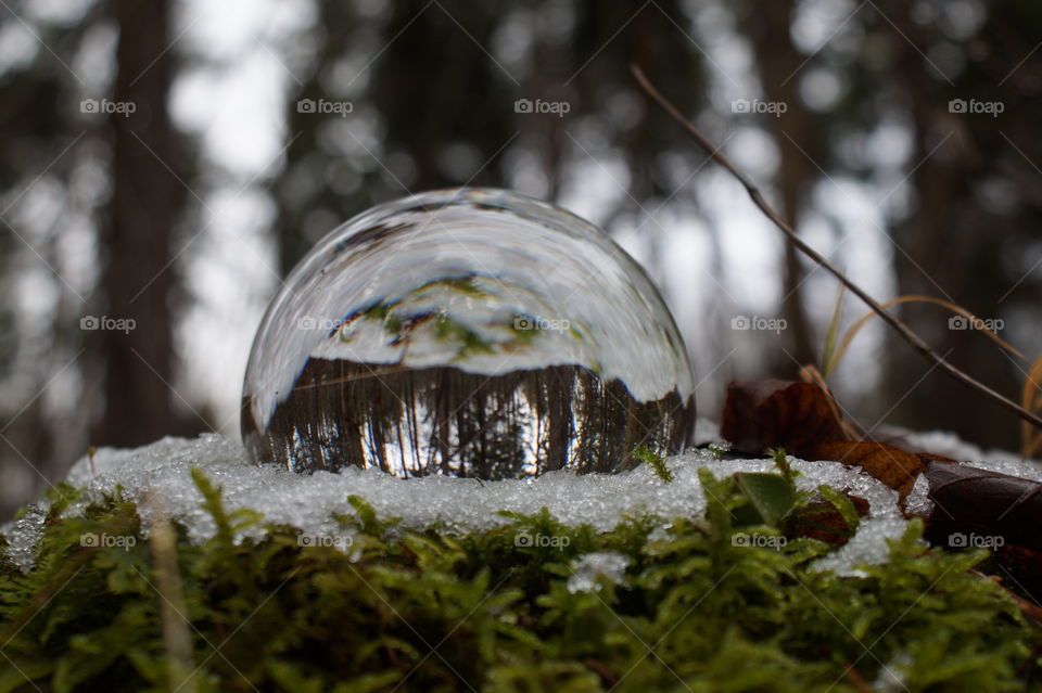 Lensball