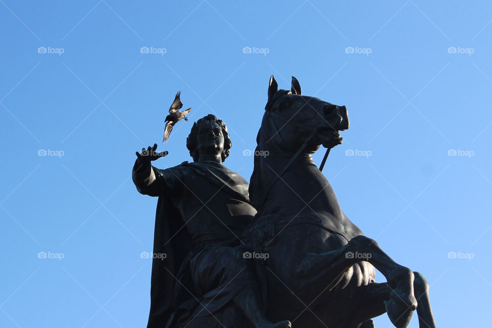 Monument catches a bird (Monument to Peter the First in St. Petersburg)