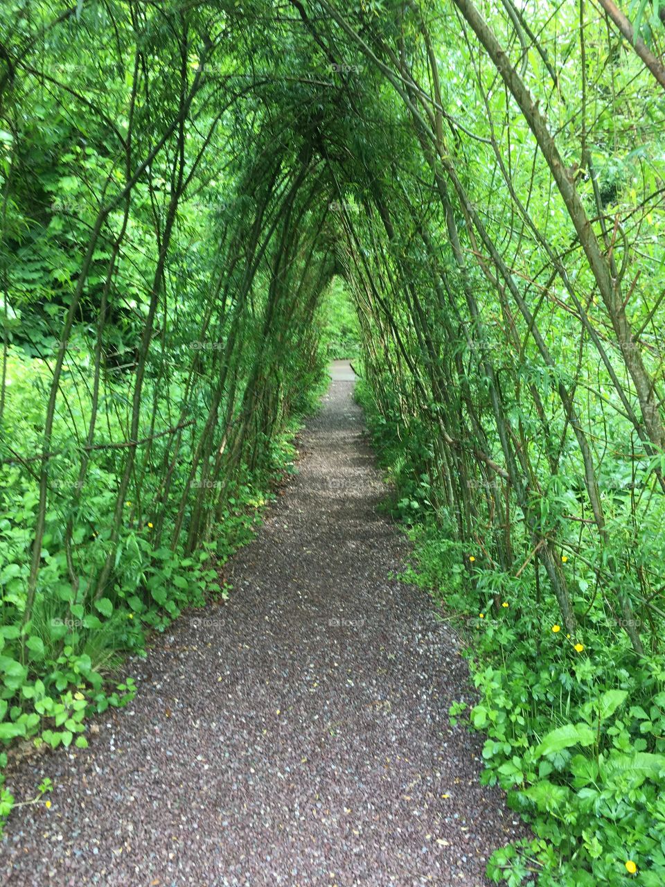 Branch archway, Blarney Castle 