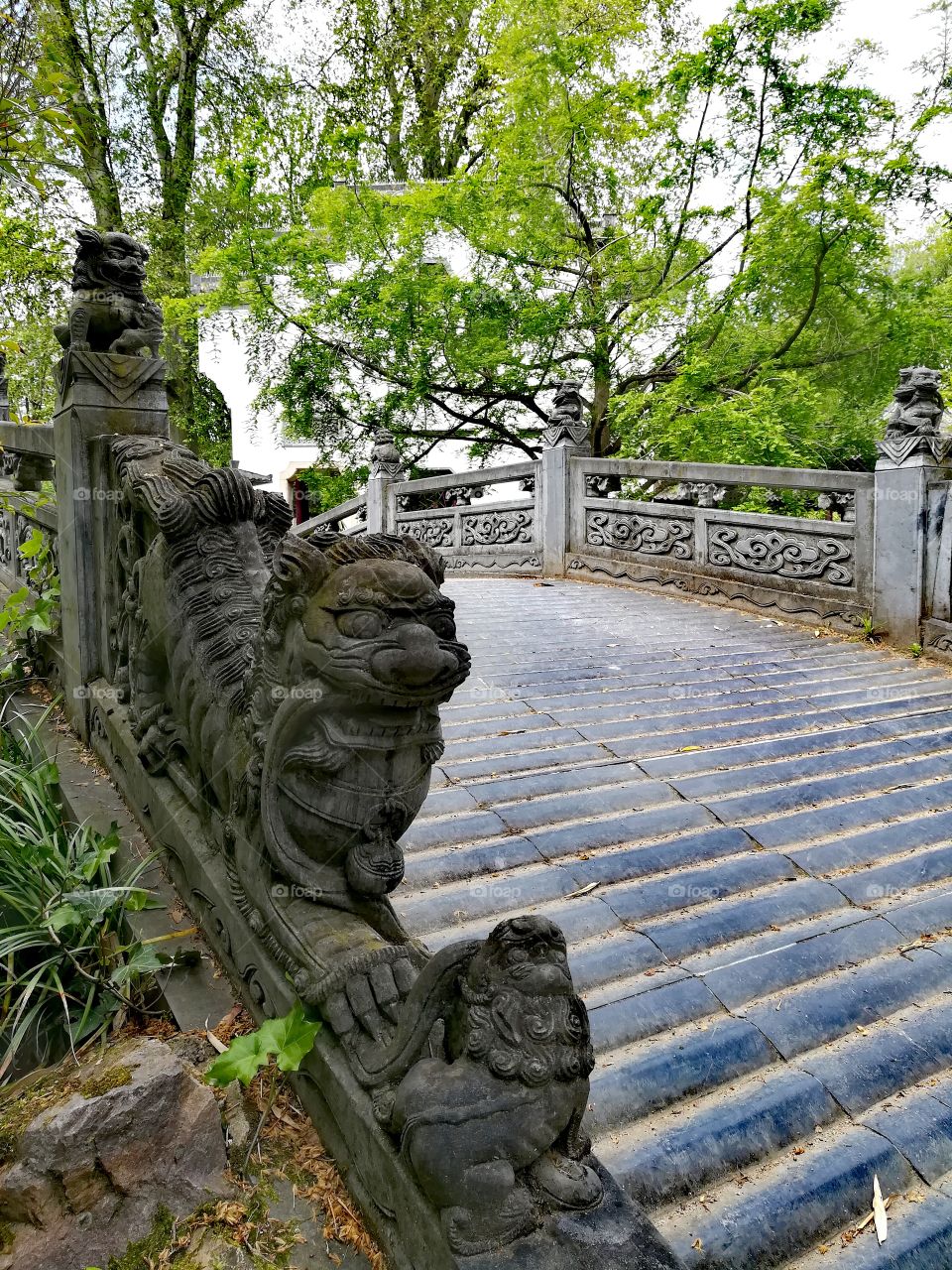 Chinese bridge
