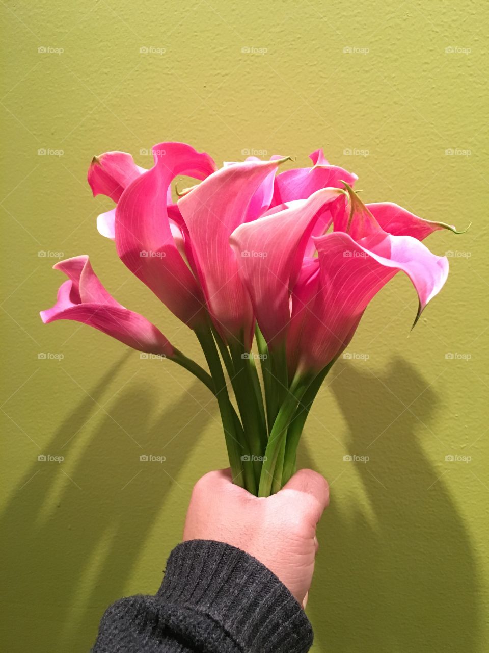 Lilies in my hand