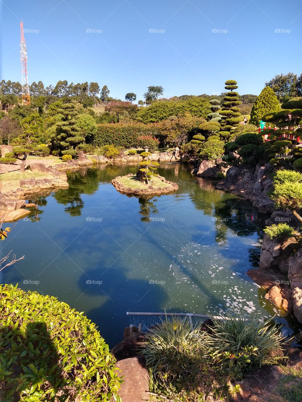 parque maeda