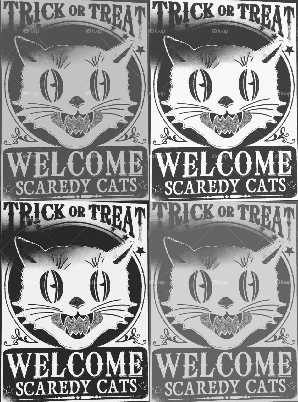 scaredy cat grayscale pop art