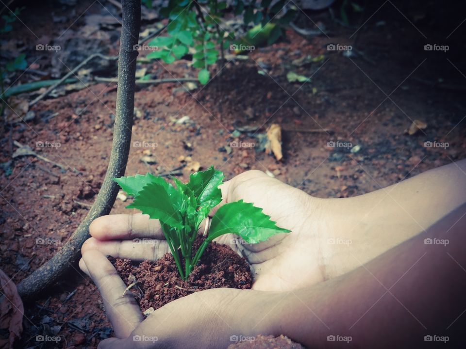 Gardening