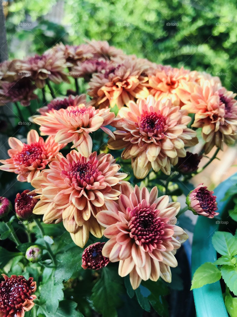 Full of Honey, Welcome Beeeessss....❤️