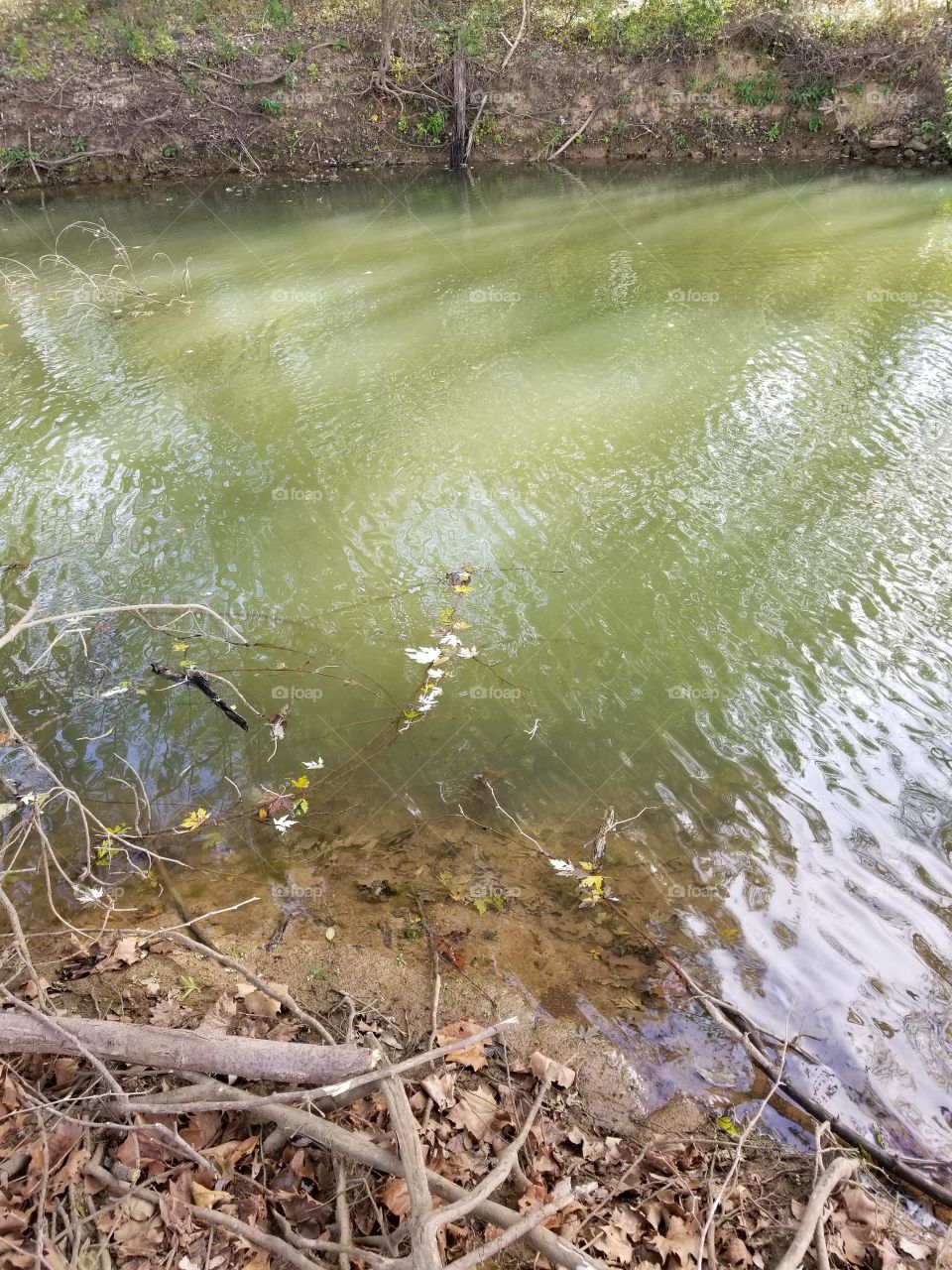 Floating Down The River