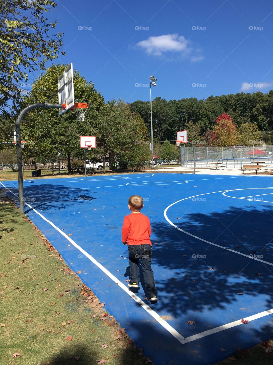 On the court 