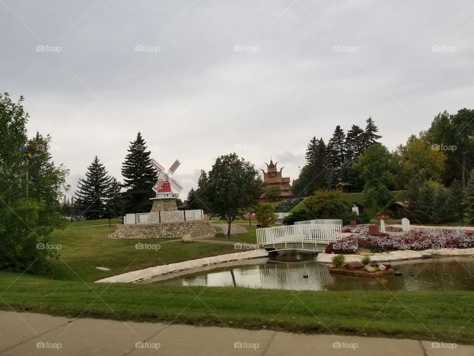 Tree, Home, House, No Person, Landscape