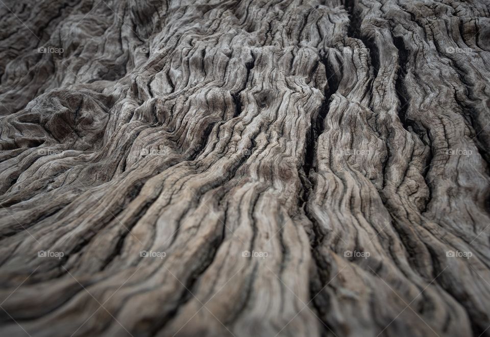 Texture of over 100 years wooden