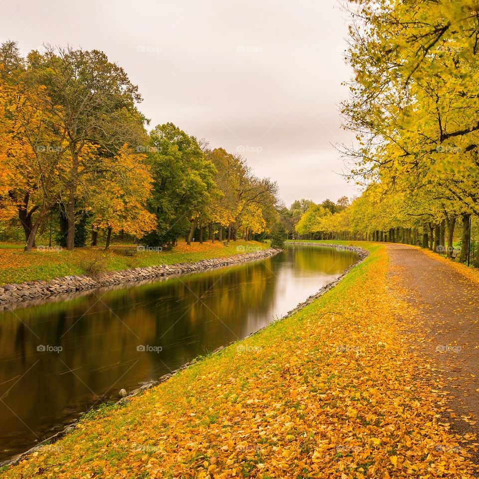 Autumn in Stockholm
