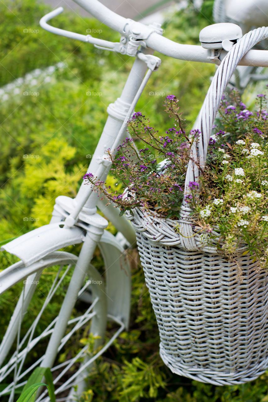 ideas for gardening. old bicycle idea for gardening