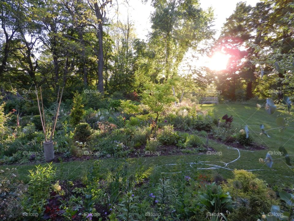 Sunset Garden