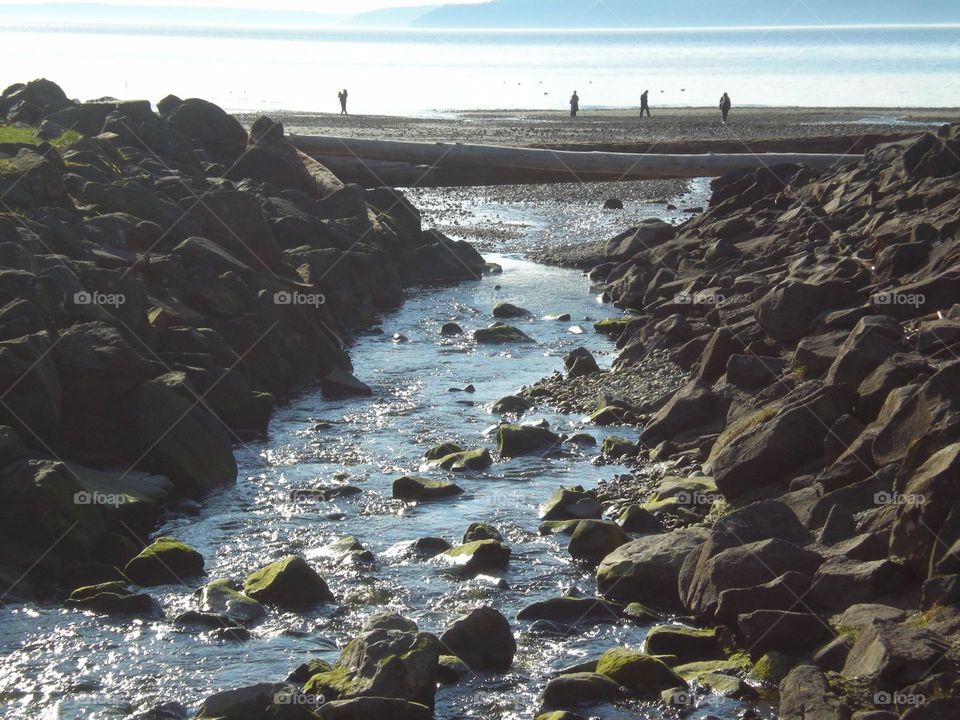 Water races into the ocean from a stream