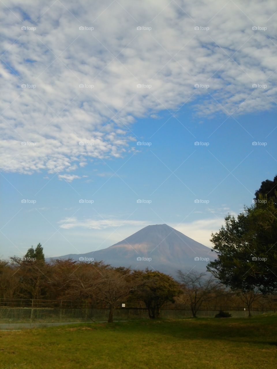 Mt.Fuji likes man