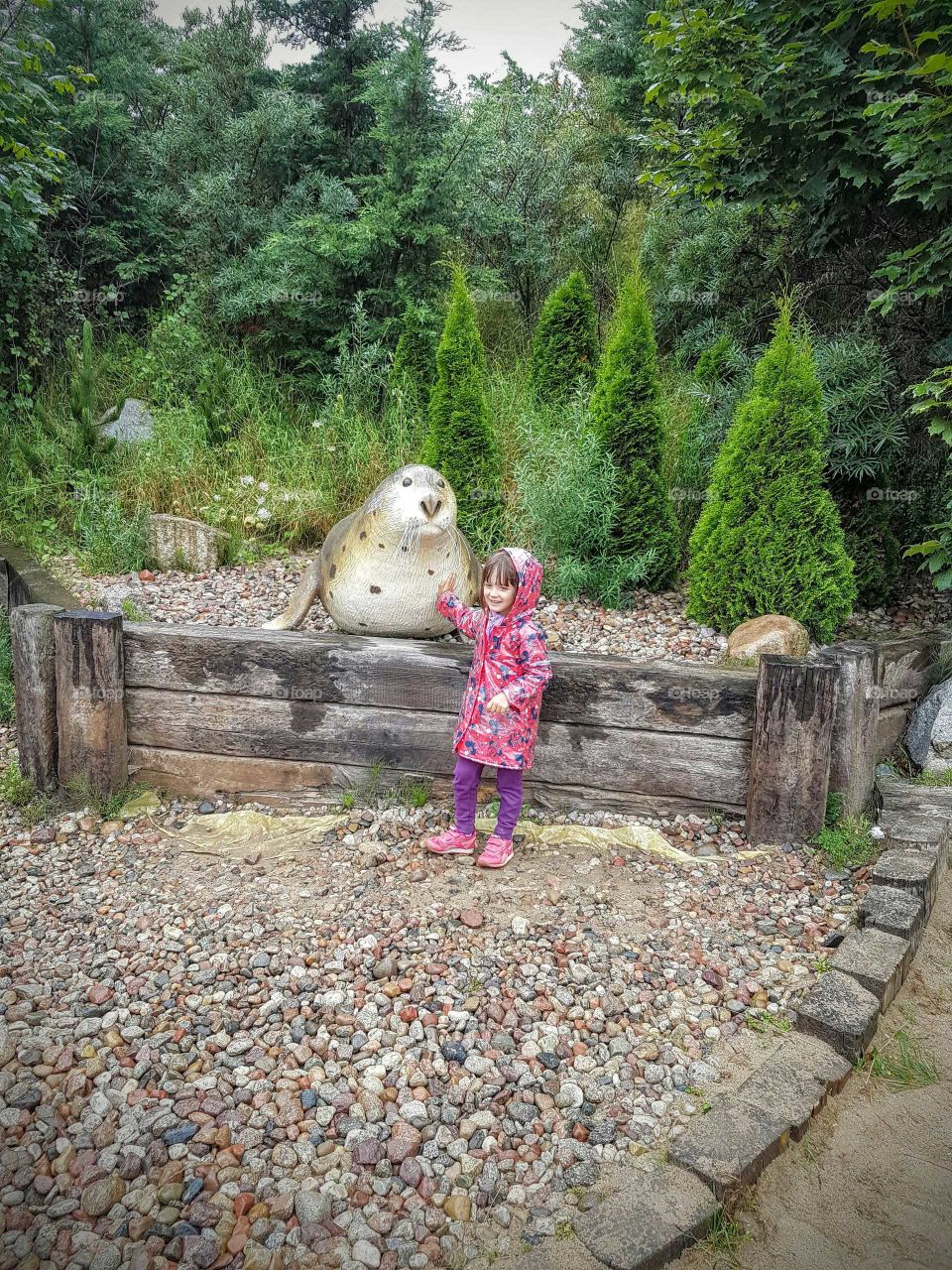 Nature, Stone, Summer, Outdoors, Wood