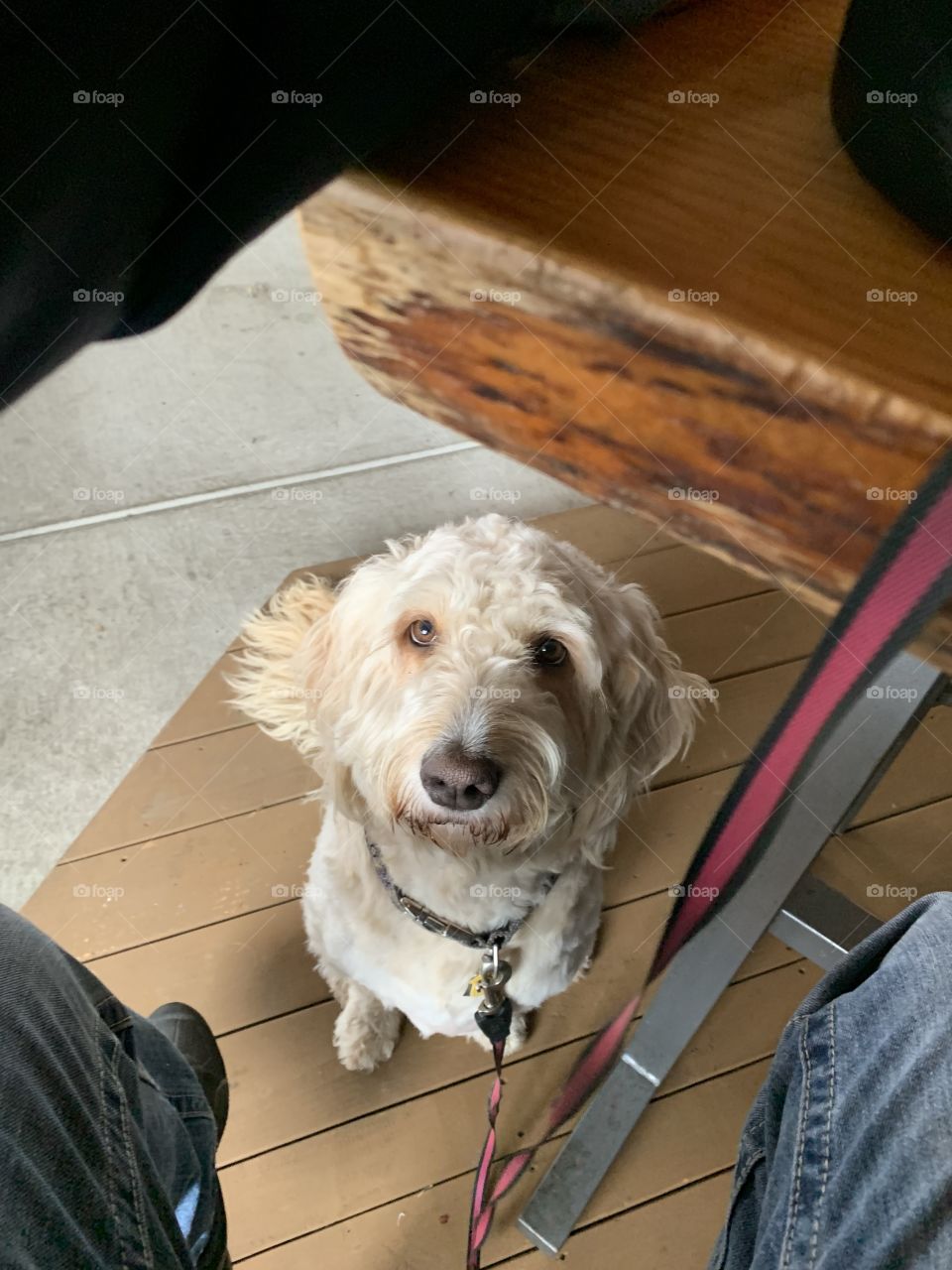 Can I have a bite