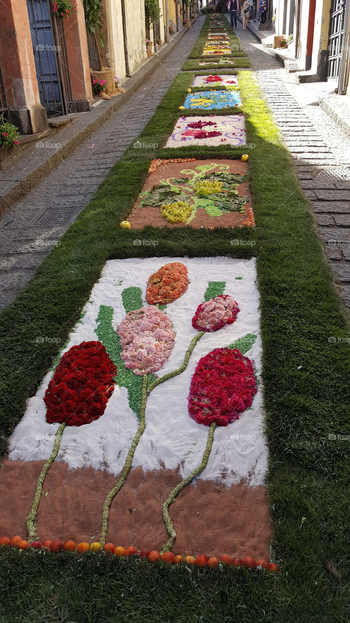 infiorata tra fiori e frutta a Sant'Alfio (CT)