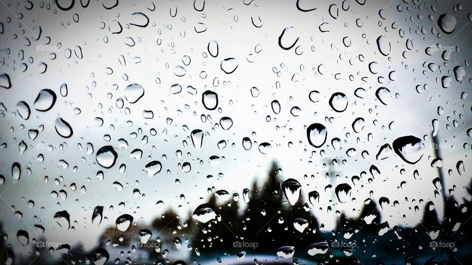 August Rain. A wonderful rainy day. Perfect weather for Netflix or dancing in the rain!