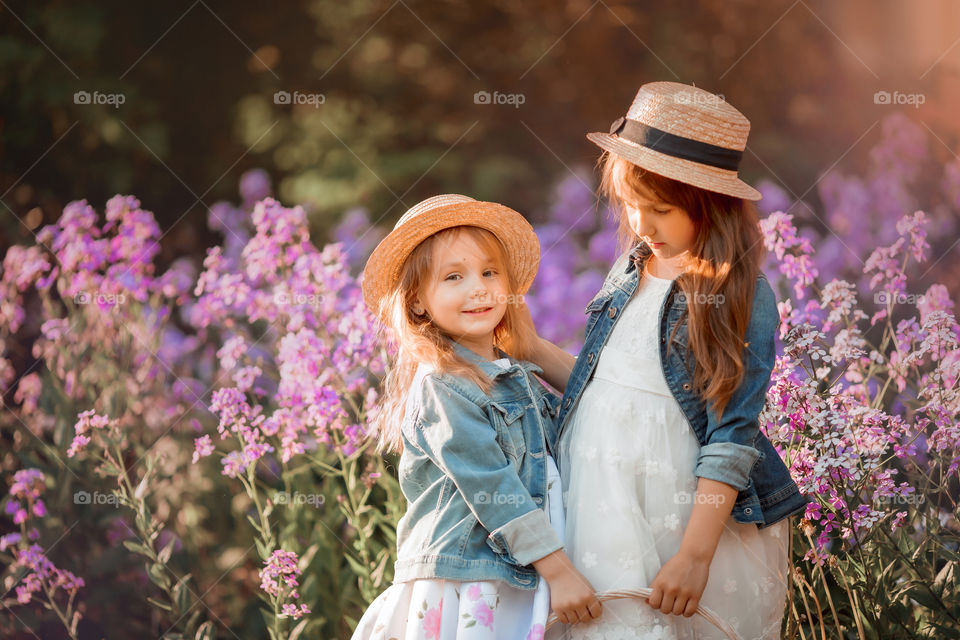 Cute little sisters portrait in blossom meadow at sunset 